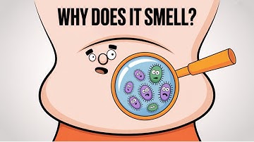 Why Does Your Belly Button Smell? What’s Living in There?