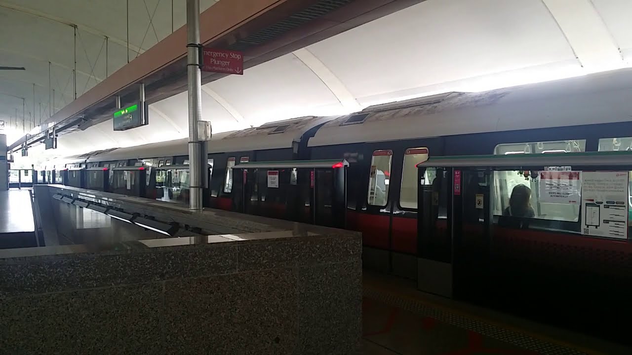 Early Christmas Lights Blinking Platform Screen Doors At EW1 Pasir Ris ...