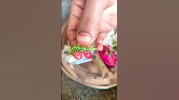 सोमवार के दिन शमी पत्र और शहद का धन प्राप्ति का उपाय#पंडित प्रदीप मिश्रा #🕉️🔱🔱