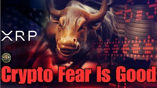 Ripple IPO Potential , XRP Investment Lessons & Fear Is Good