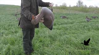 Goose decoys from Prodecoys