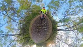 "No Car? No Problem!" The Lectric XP Trike Has You Covered!