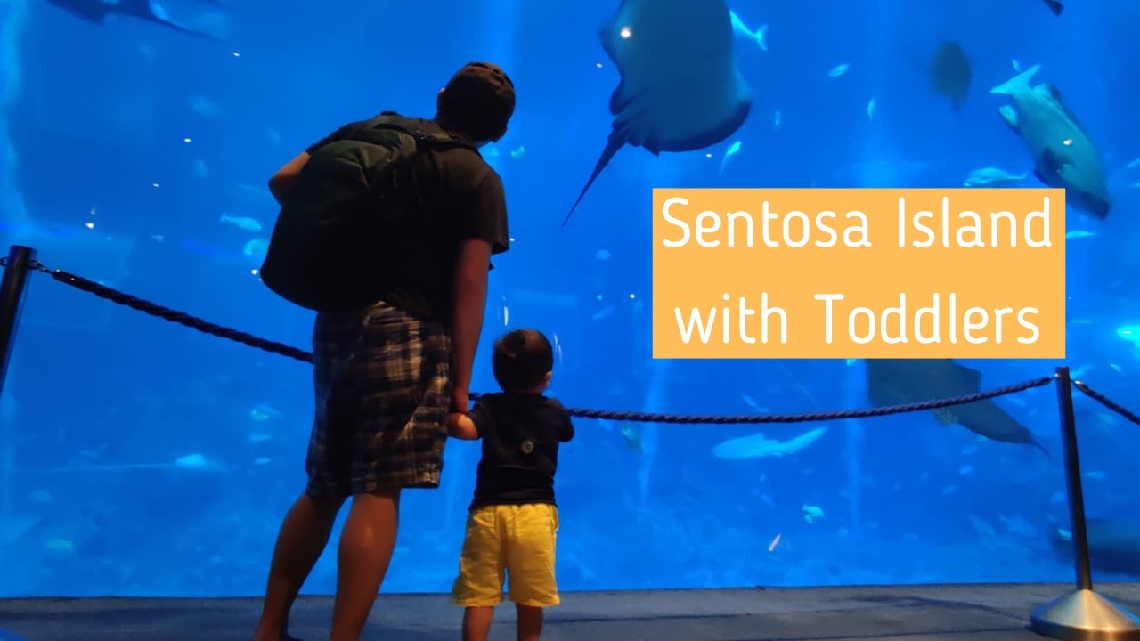 Full Day in Sentosa with Toddlers (Bus Tour, Fort Siloso, SEA Aquarium, Minion's Perspective)