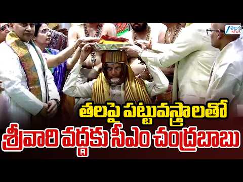 CM Chandrababu Naidu offering Pattu Vastralu to Lord Sri Venkateswara Swamy | ZEE Telugu News