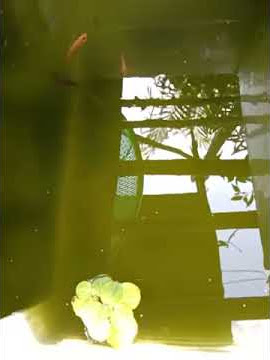 Judika merindukan purnama