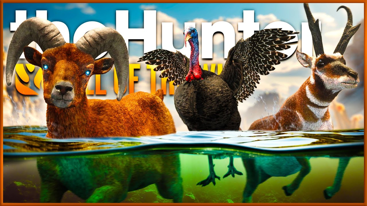 I Hunted Rancho del Arroyo for a WHOLE WEEK & This is What I Found! - the Hunter Call of the Wild