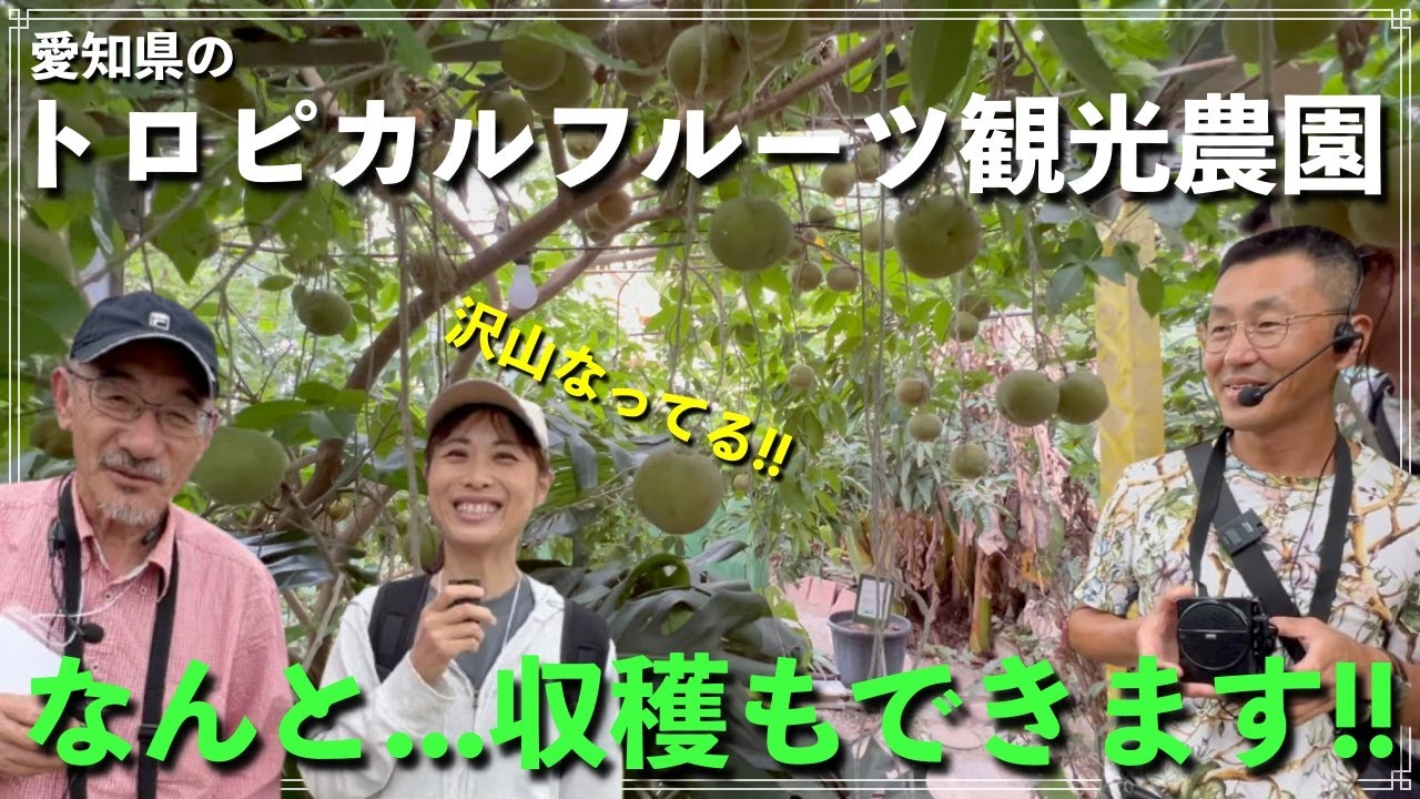 【日本熱帯果樹協会】愛知県のトロピカルフルーツジャングル探検植物園へ【小川農園　小川政行さん】