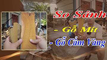 Cách Phân Biệt Gỗ Mít Và Gỗ Cẩm Vàng - ĐỒ GỖ VĂN SÁU