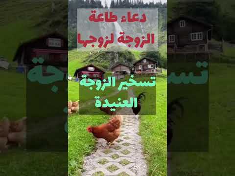 دعاء تسخير الزوجة العنيدة و حل المشاكل بين الزوجين و طاعة الزوجة لزوجها 