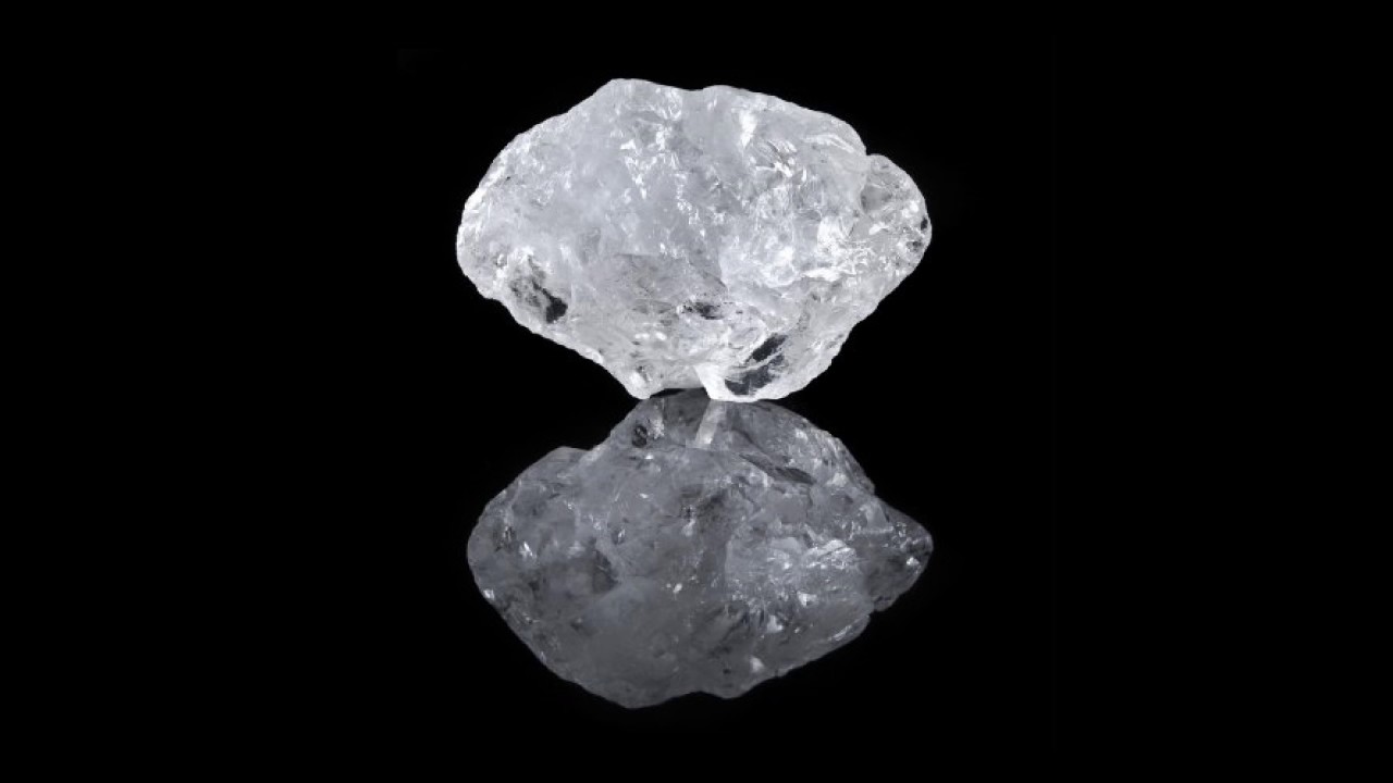 Saltland - A Common Truth