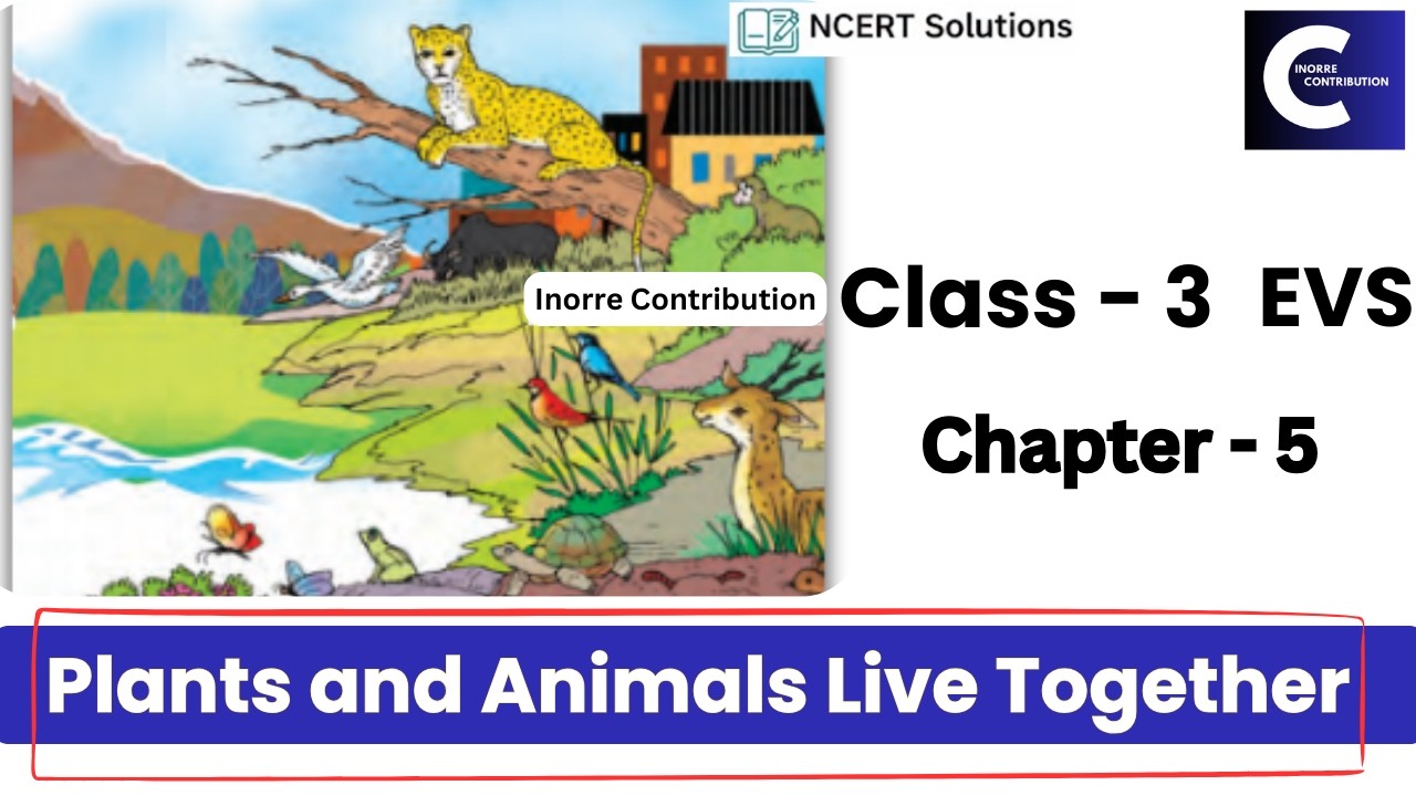 Plants and Animals Live Together Class 3 EVS | Chapter 5 Complete Solution