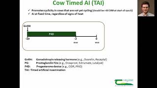 Timed AI protocol for non cycling cows - Stephen Moore