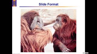 Presentation on Presentations (with monkeys)