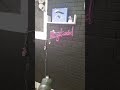 1950s Shed Renovations
