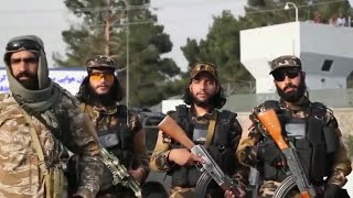 Taliban Nasheed Who Are The Lions?