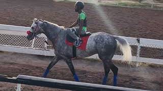 THE BEST PLACE TO FIND YOUR WINNERS CAYMANAS PARK EXERCISE TRACK 10/06/25