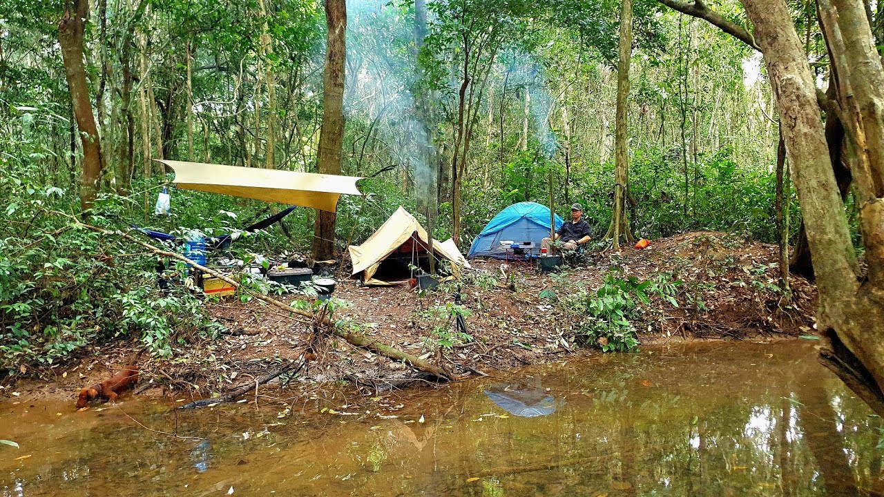 Cắm trại bên con suối cạn giữa rừng Mã Đà, mưa xuống cua bò ra kiếm ăn ...