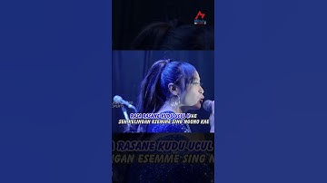 Intan Chacha - Kesenggol Rondo #livedangdut #dangdutjawa