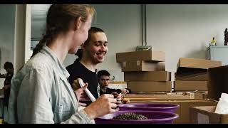 Így Zajlik A Vetőmagok Válogatása És A Csíráztatás A Kws Magyaroroszág Kft-Nél