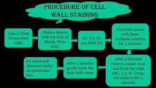 Cell Wall Staining By Chance's Method - Microbiology with Sumi