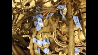 2002 Nissan Xterra VG33E Rebuild Step by Step Part 2 - Labeling!