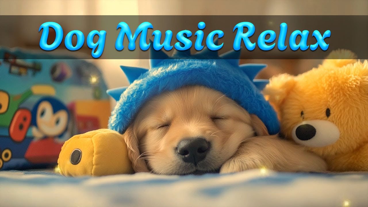 Расслабляющая музыка для собак 💤 12 часов спокойствия и глубокого сна | Без рекламы