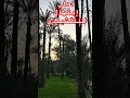 إبتهال يارب كرمك علينا للنقشبدي مريح روعه 