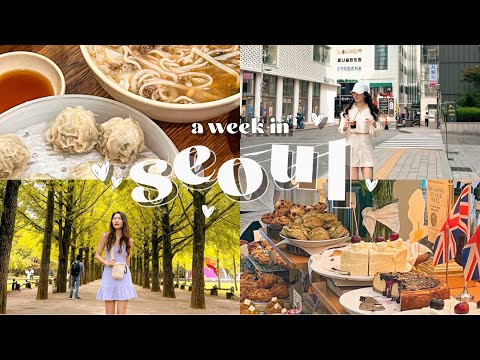 A week in Seoul | Myeongdong, Cafe hopping, Nami Island & more