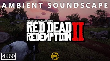 ⁴ᴷ⁶⁰ Red Dead Redemption 2 - Ambience - Rhodes (Birds, Crickets, Horses, Wagons, Talking)