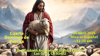 4-26-2026 Domingo Misa 11:30 am livestream
