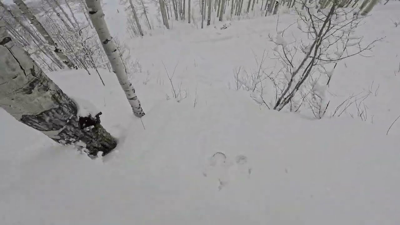 Japan Snow in Colorado?! Crested Butte 2-Foot Powder Day