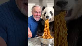 Panda eating noodles 🍜