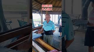 颱風天 風雨無阻 147 Taiwan