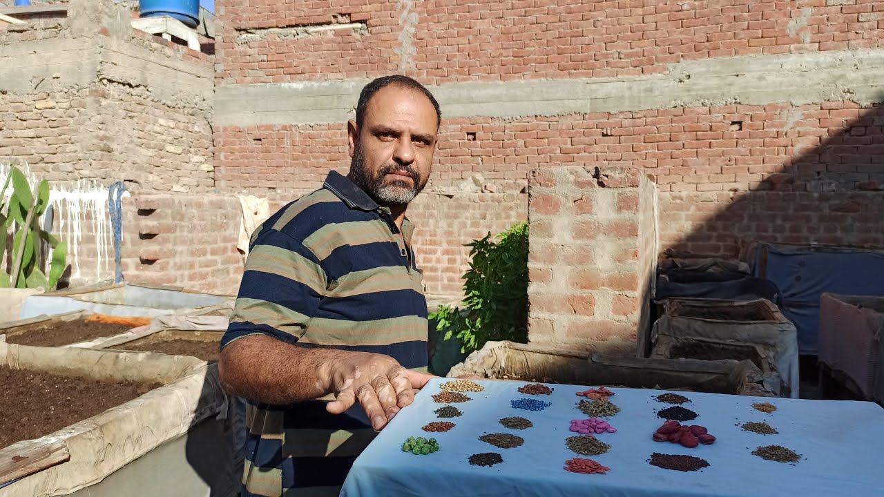 روتين اليوم اشترينا ٢٢ نوع من بذور النباتات التى تزرع فى الشتاء تعالو نشوفها مع بعض،🥒🥬⁦🌶️⁩🌽🥦🧄🥔🌰🍅🍒🍎🍉