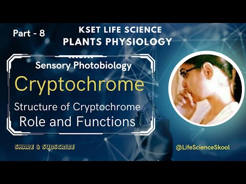 #Cryptochrome |Structure of Cryptochrome| Role and Functions of Cryptochrome #ksetlifesciences #kset