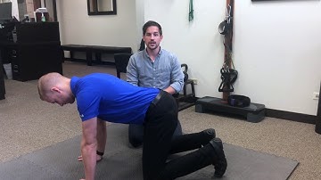 Quadruped Rock - Low Back Pain Rehab Exercises