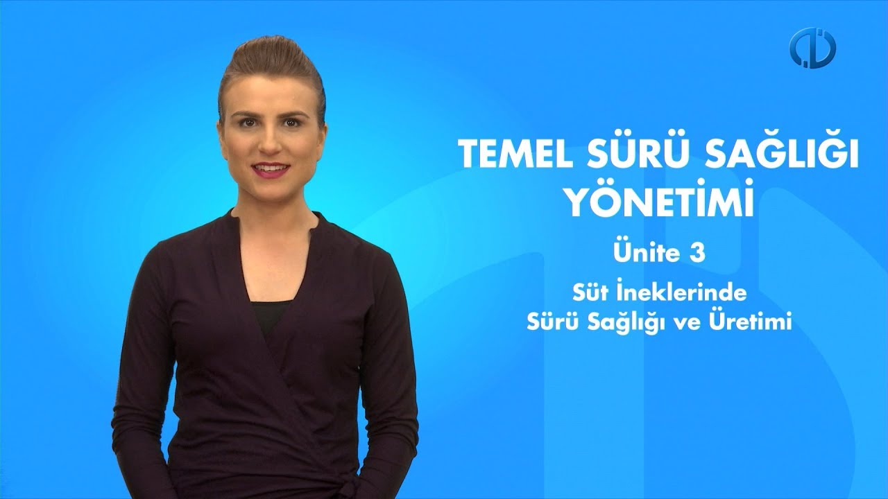 TEMEL SÜRÜ SAĞLIĞI YÖNETİMİ - Ünite 3 Özet