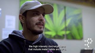THC Design Grower's Secrets Episode 3: the Evolution of Indoor Lighting