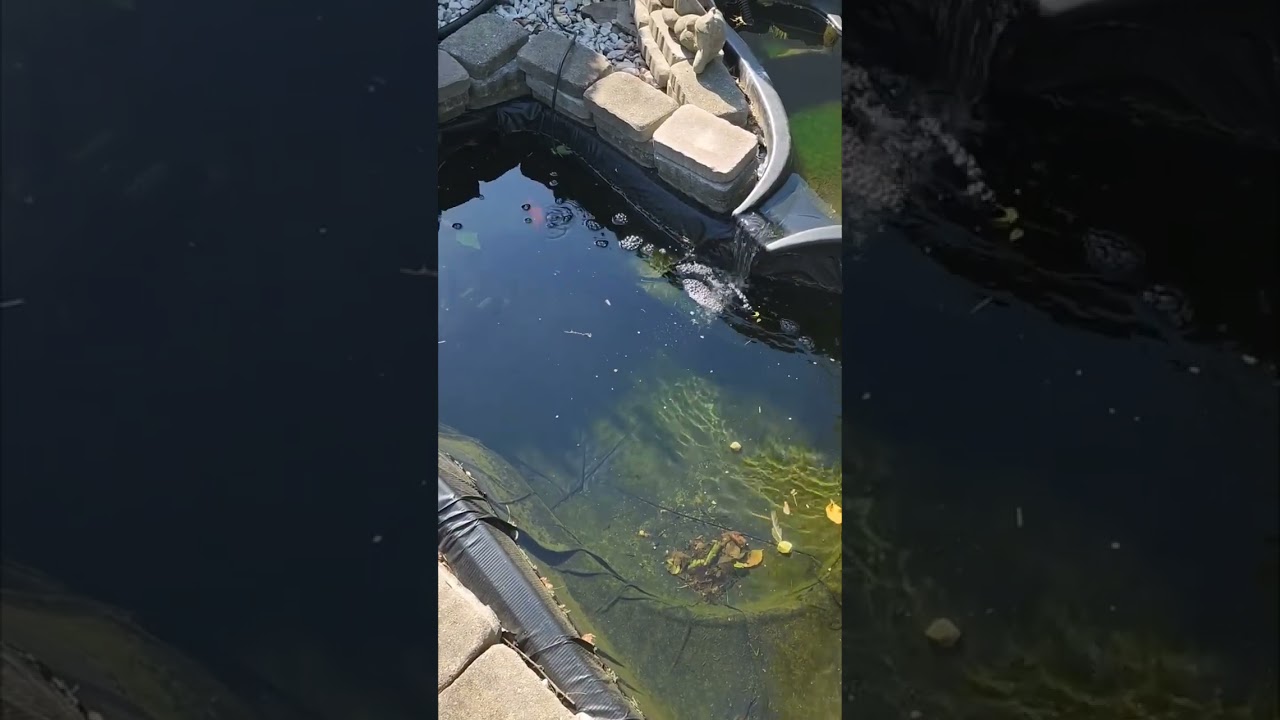 Help!!! This is a job🥺🥺