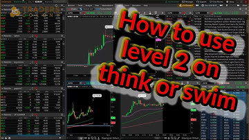 How to use level 2 on think or swim 2nd video