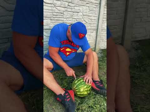 I Want Watermelon Shorts Funny Viral