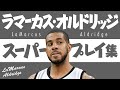 5分で凄さがわかる!! ラマーカス・オルドリッジ、スーパープレイ集【5分でわかる選手の凄さ】