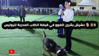 شوفو كيفاش حصلوها..هاكيفاش  الكلاب المدربة للبوليس حصلات الحشيش عند بشرى الضوو ??‍♂️?