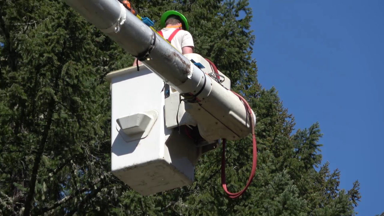 Power Line Clearing up Granite Hill YouTube