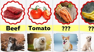 Favorite Food of Different Dog Breeds