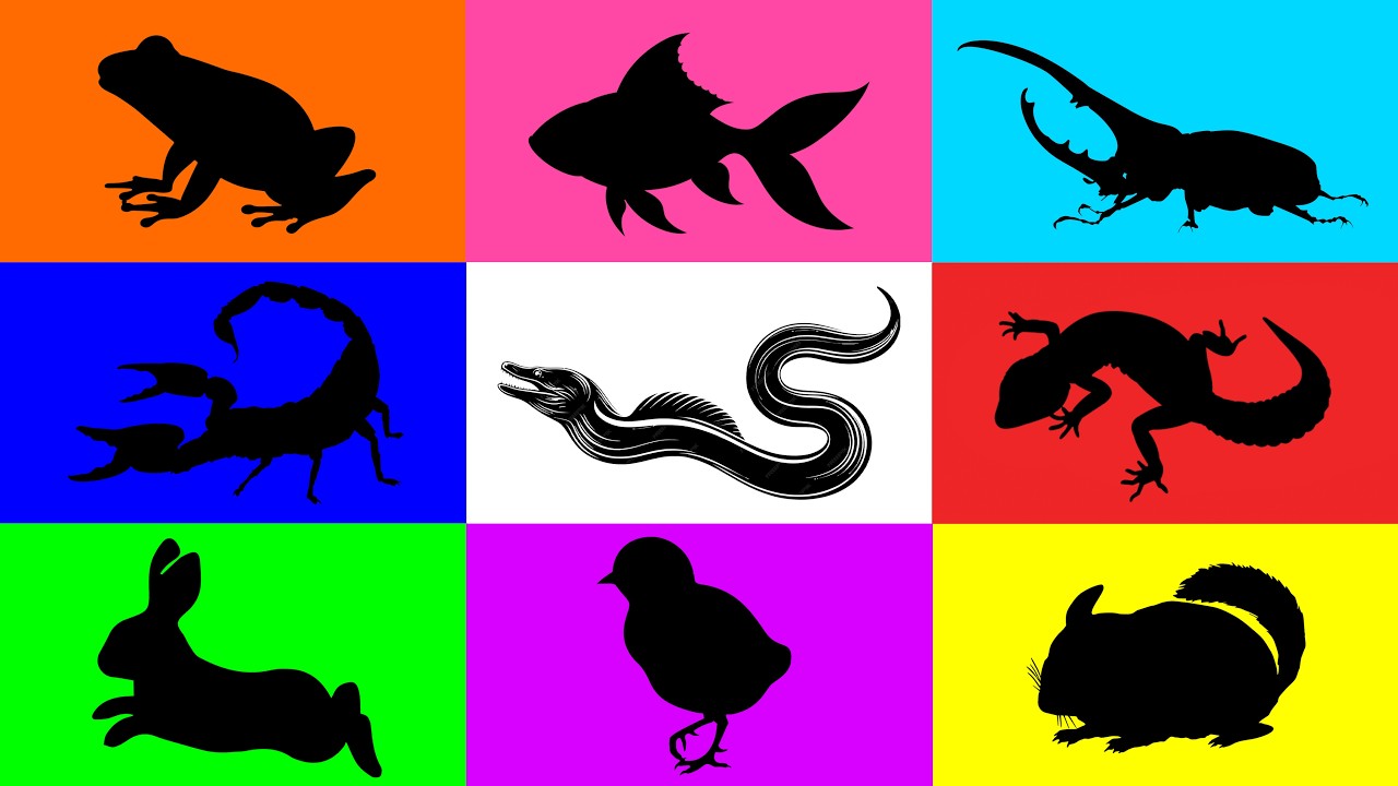 Домашние животные: кролик, золотая рыбка, жук-олень, соня, угорь, лягушка-пакман, геккон, цыплено...