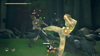 Absolver P16 PT BR