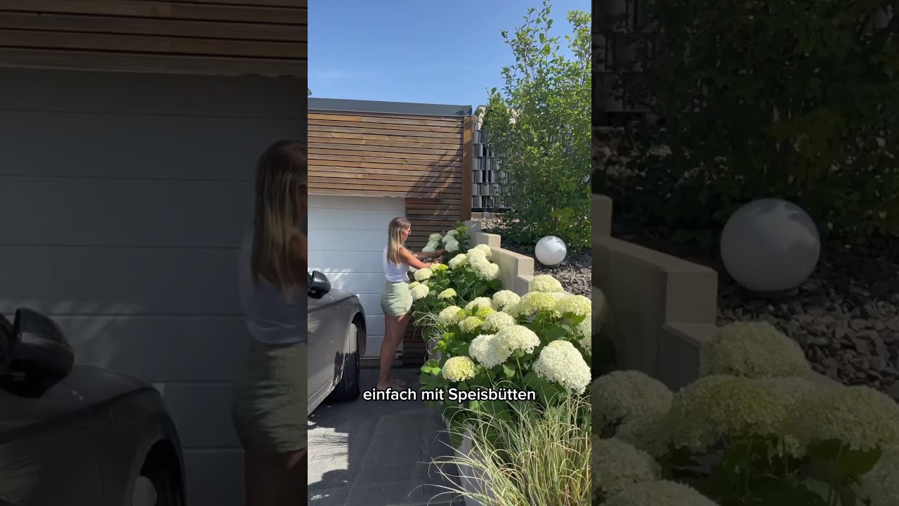 Der gestrige Tag in 55 Sekunden…