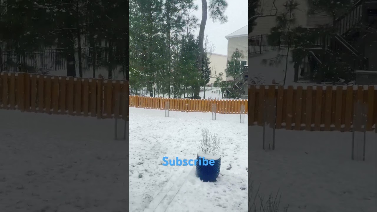 Snowfall Increasing in Raleigh, NC. 2/20/2025 11:00 AM Update