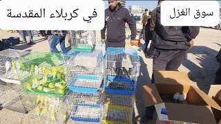 سوق الجمعة(سوق الغزل) في كربلاء المقدسة   لجميع انواع الحيونات